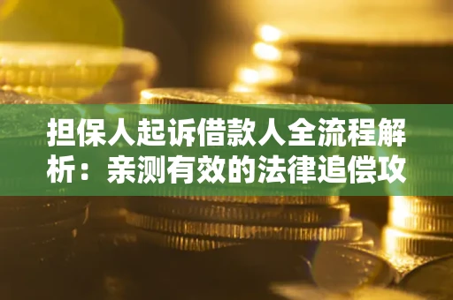 济南担保人起诉借款人全流程解析：亲测有效的法律追偿攻略