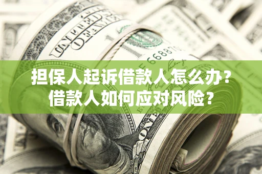 济南担保人起诉借款人怎么办？借款人如何应对风险？